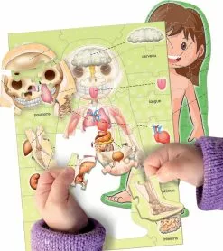 Educa Borras LE CORPS HUMAIN -MATTEL Soldes Boutique 05fa5db02a8e91780405ea743f00581c162de642 41010179 04