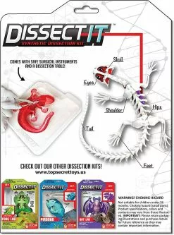 Silverlit DISSECT-IT - SALAMANDRE SLIME A DISSEQUER -MATTEL Soldes Boutique aba2a57397f47590e49a200f30b4aba59c962b45 41053781 03