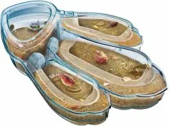 Clementoni TRIOPS LES ANIMAUX PREHISTORIQUES -MATTEL Soldes Boutique adf69ce170836417815c28424f82958f583a7ebc 41003579 03