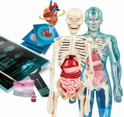 Clementoni L'ANATOMIE - LE CORPS HUMAIN -MATTEL Soldes Boutique aee3c708f01ff389332563bc96a98f103af2c804 41053722 03