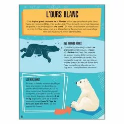 SASSI JUNIOR PUZZLE LA PLANETE EN DANGER 220 PIECES + LIVRE - LES GLACES 7 SASSI JUNIOR PUZZLE LA PLANETE EN DANGER 220 PIECES + LIVRE - LES GLACES -MATTEL Soldes Boutique b26c4932e856b636fb4567d466a743c0fb85a3b0 04082475 04