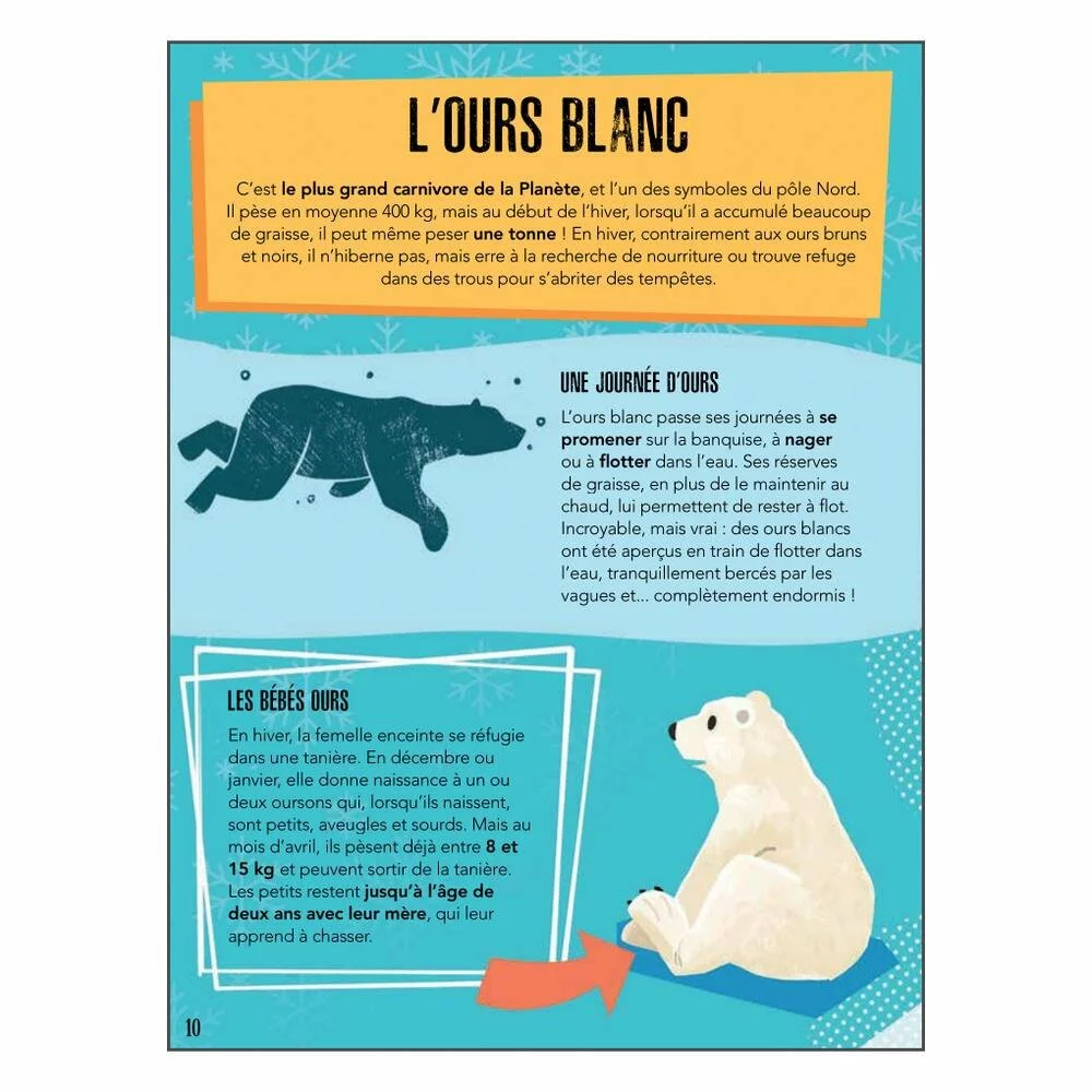 SASSI JUNIOR PUZZLE LA PLANETE EN DANGER 220 PIECES + LIVRE - LES GLACES 4 SASSI JUNIOR PUZZLE LA PLANETE EN DANGER 220 PIECES + LIVRE - LES GLACES – Image 4