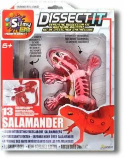 Silverlit DISSECT-IT - SALAMANDRE SLIME A DISSEQUER -MATTEL Soldes Boutique e3952b4f8db482c47d60fbec9e1ca36ff8c69b81 41053781 05